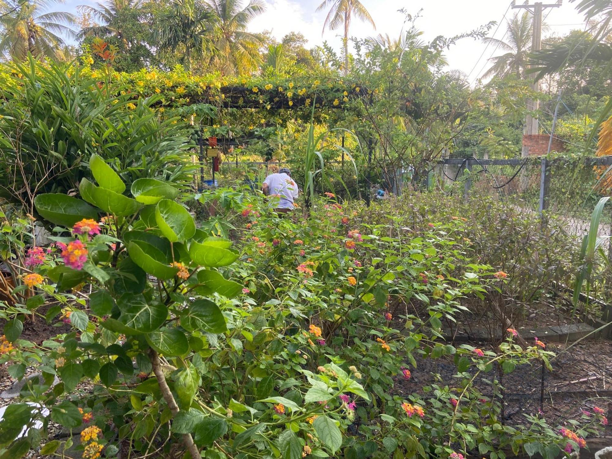 Lana Land Homestay Phu Quoc Exteriér fotografie
