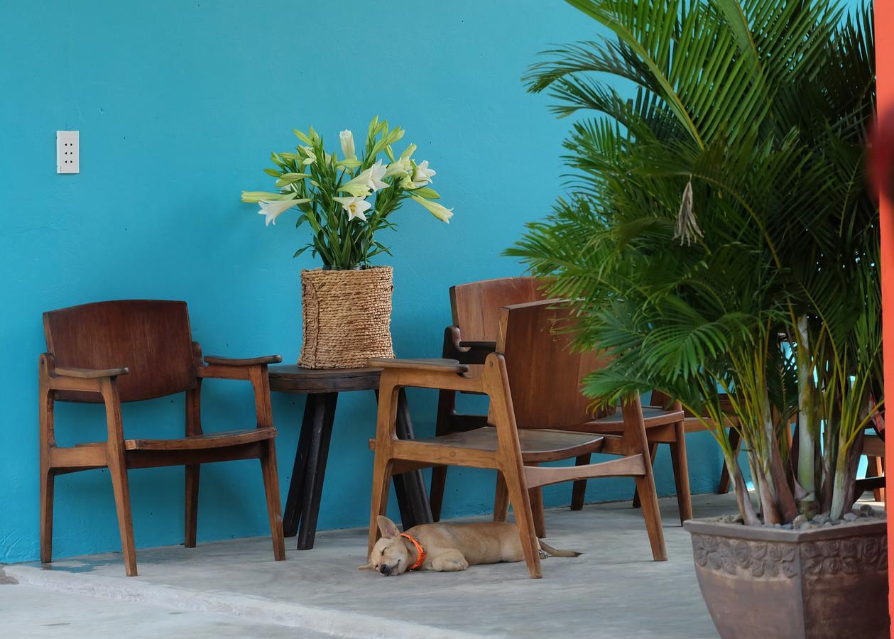 Lana Land Homestay Phu Quoc Exteriér fotografie