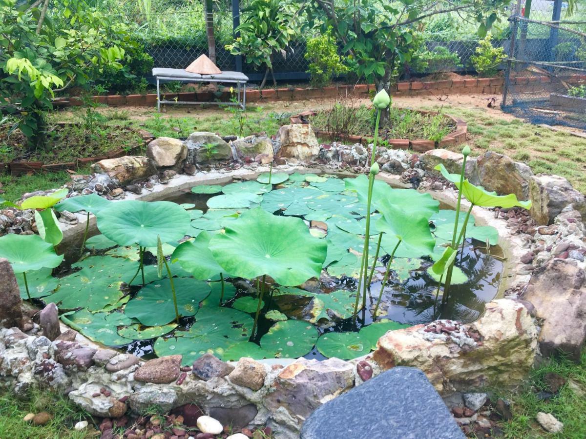 Lana Land Homestay Phu Quoc Exteriér fotografie
